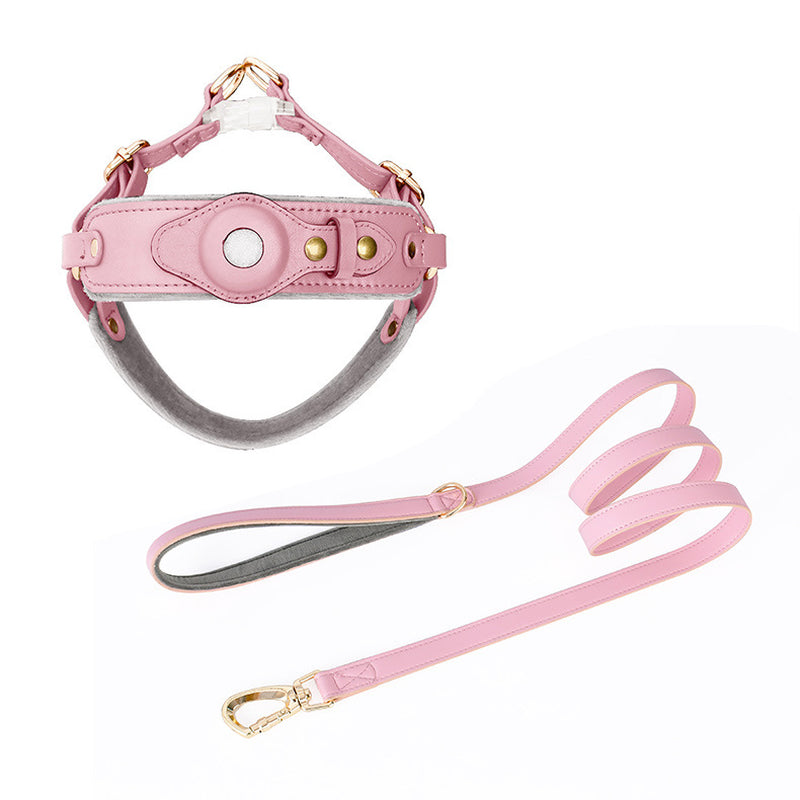 Chest Back Airtag Positioning with Dog Traction Rope