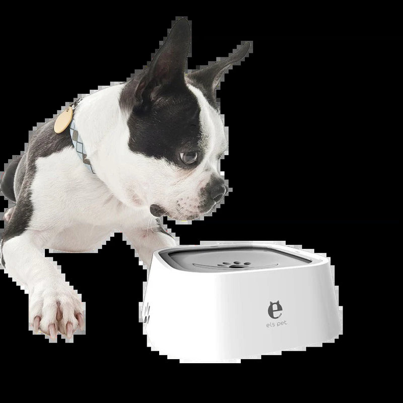 Superidag Water Bowl without Spillage